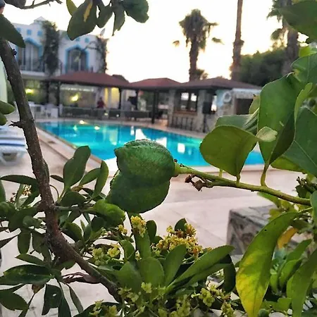 Otel Ali Baba 3*
